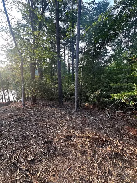 385 Dockside Dr, Nebo, NC 28761 photo 17