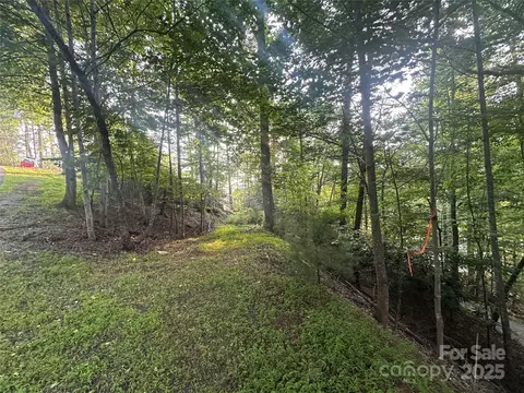 385 Dockside Dr, Nebo, NC 28761 photo 15