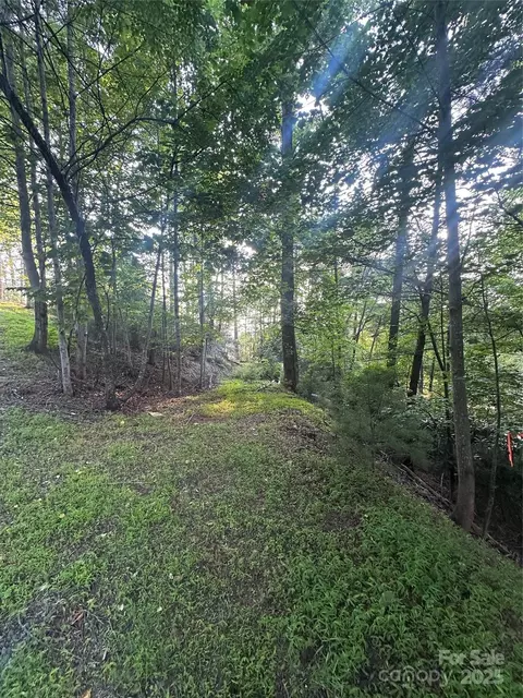 385 Dockside Dr, Nebo, NC 28761 photo 16
