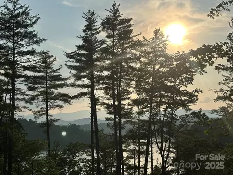 385 Dockside Dr, Nebo, NC 28761