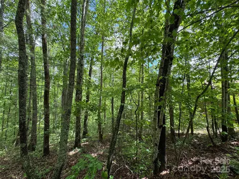 99999 Morning Star Lot 13 Dr #LOT 13, Leicester, NC 28748