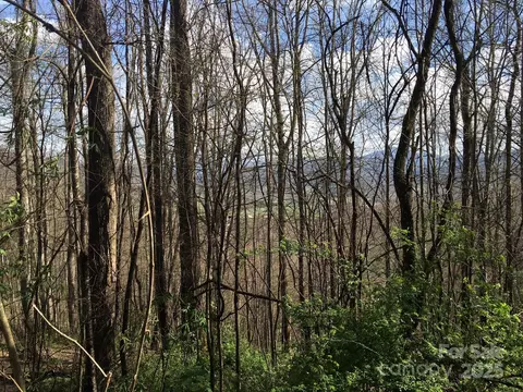 0 Kitty Ln, Waynesville, NC 28785