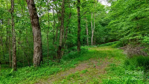 233 Woodland Springs 14 Trl #14, Boone, NC 28607