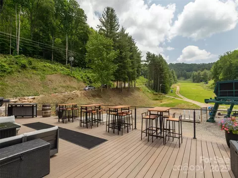 000 Mcdaris Loop 203 Dr #203, Mars Hill, NC 28754 photo 29