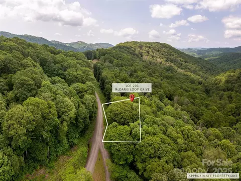 000 Mcdaris Loop 203 Dr #203, Mars Hill, NC 28754