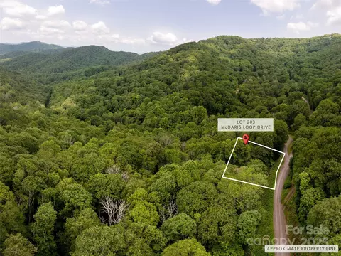 000 Mcdaris Loop 203 Dr #203, Mars Hill, NC 28754 photo 2