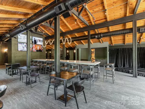 000 Mcdaris Loop 203 Dr #203, Mars Hill, NC 28754 photo 33