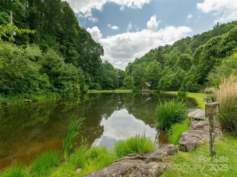 000 Mcdaris Loop 203 Dr #203, Mars Hill, NC 28754 photo 24
