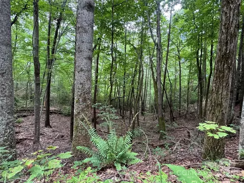 0 Quail Ridge 216 Rd #216, Lake Lure, NC 28746