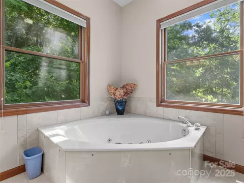 253 Sandy Ln, Brevard, NC 28712 photo 21