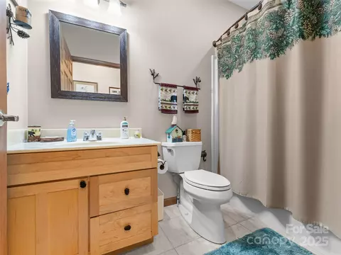 253 Sandy Ln, Brevard, NC 28712 photo 16