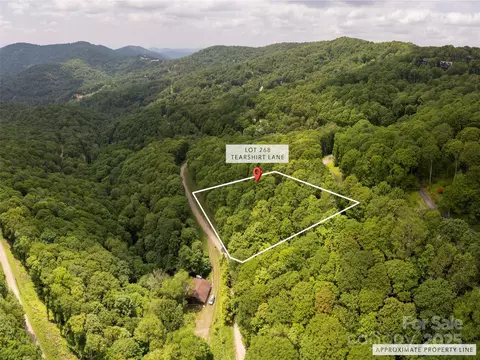 000 Tearshirt 268 Ln #268, Mars Hill, NC 28754