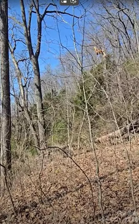 30 Black Mountain Rd, Cullowhee, NC 28723 photo 2