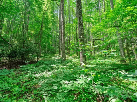 20 Us 19 #LOT S 19, 20, 23,25,26,27, Burnsville, NC 28714
