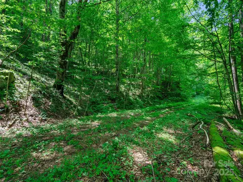 #3 TBD Lotties Creek Road #S 37, 42, Burnsville, NC 28714