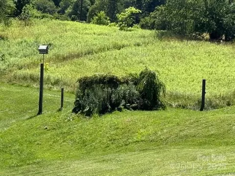 Other - 170 Beaverdam Loop Rd, Candler, NC 28715 photo 25 of 29