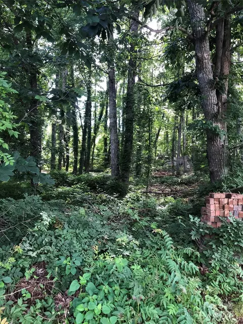 Ridgeline Drive, Salisbury, NC 28146
