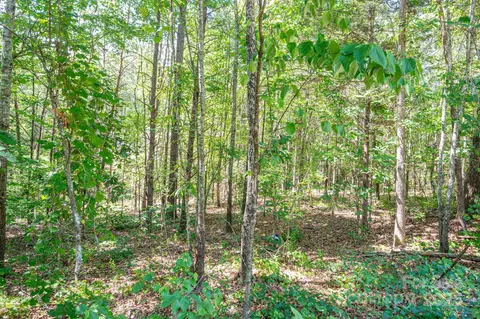 Meadow Crossing Drive, Rutherfordton, NC 28139