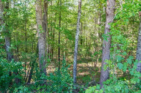 Meadow Crossing Drive, Rutherfordton, NC 28139