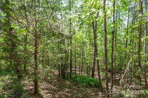 Meadow Crossing Drive, Rutherfordton, NC 28139