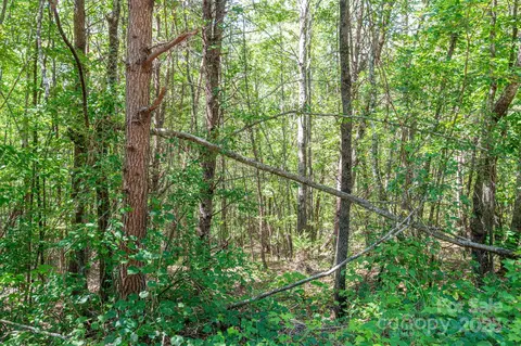 Meadow Crossing Drive, Rutherfordton, NC 28139