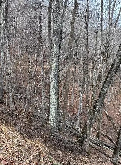 00 Spring Brook 314 Dr #314, Mars Hill, NC 28754
