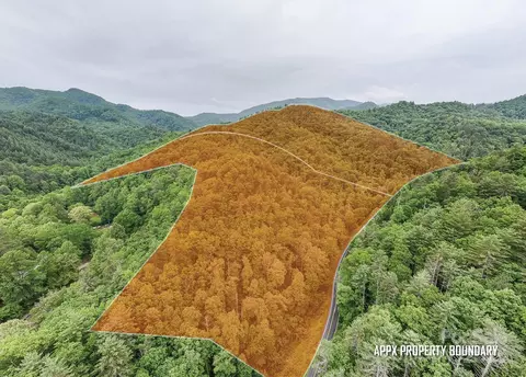 399 Shell Stand Rd, Almond, NC 28702