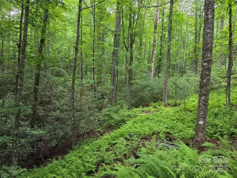 Cedar Lane, Brevard, NC 28712 photo 23