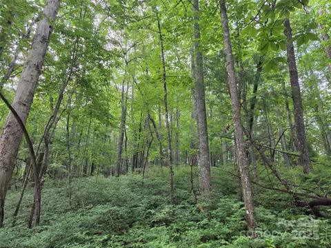 Cedar Lane, Brevard, NC 28712 photo 20