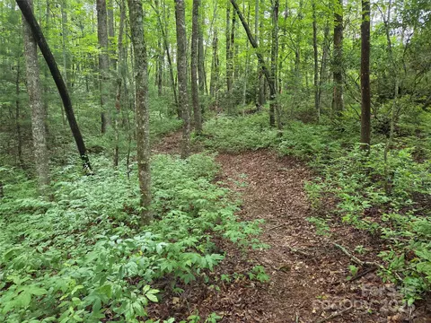 Cedar Lane, Brevard, NC 28712 photo 2