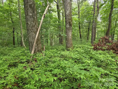 Cedar Lane, Brevard, NC 28712 photo 16