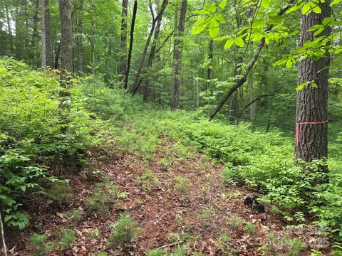 Cedar Lane, Brevard, NC 28712 photo 15