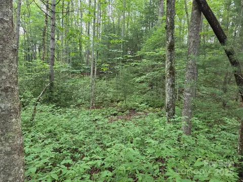 Cedar Lane, Brevard, NC 28712 photo 8