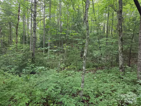 Cedar Lane, Brevard, NC 28712 photo 11