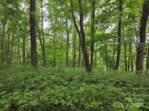 Cedar Lane, Brevard, NC 28712 photo 7