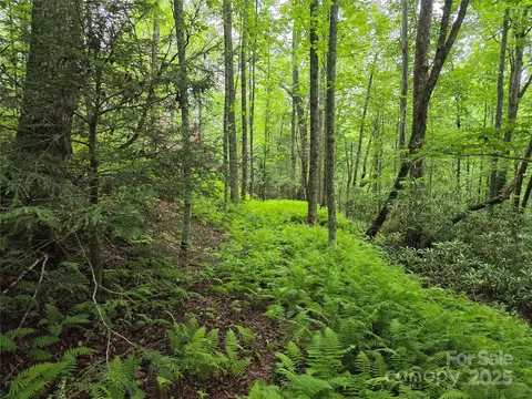 Cedar Lane, Brevard, NC 28712 photo 22