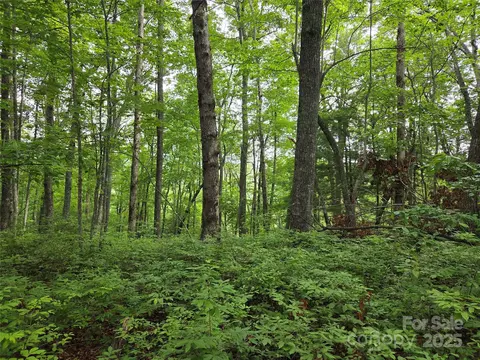 Cedar Lane, Brevard, NC 28712 photo 5