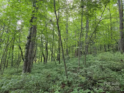 Cedar Lane, Brevard, NC 28712 photo 19