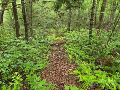 Cedar Lane, Brevard, NC 28712 photo 13