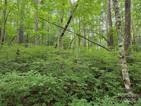 Cedar Lane, Brevard, NC 28712 photo 17