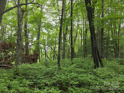 Cedar Lane, Brevard, NC 28712 photo 4