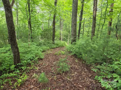 Cedar Lane, Brevard, NC 28712 photo 3