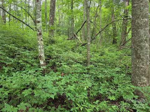 Cedar Lane, Brevard, NC 28712 photo 18