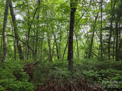Cedar Lane, Brevard, NC 28712 photo 6