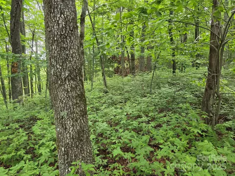 Cedar Lane, Brevard, NC 28712 photo 10