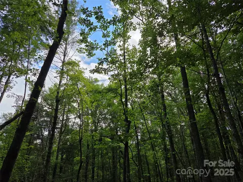 Cedar Lane, Brevard, NC 28712