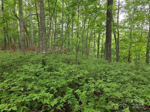 Cedar Lane, Brevard, NC 28712 photo 9
