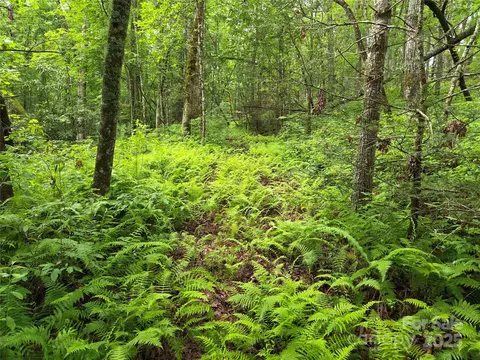 Cedar Lane, Brevard, NC 28712 photo 21