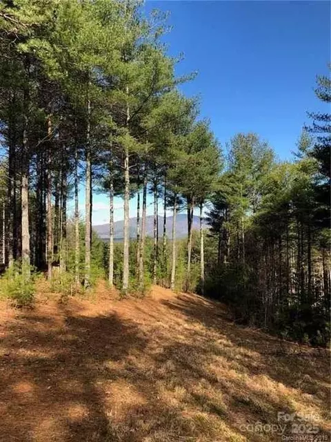 59 Hunt Camp Drive #59, Nebo, NC 28761