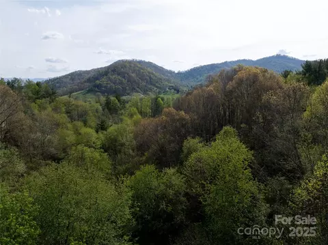 Sunnybrook Trail, Clyde, NC 28721 photo 8